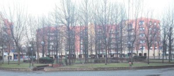 Foto anteprima